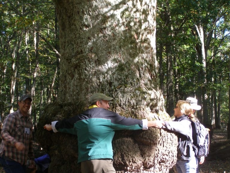 People hugging a tree.