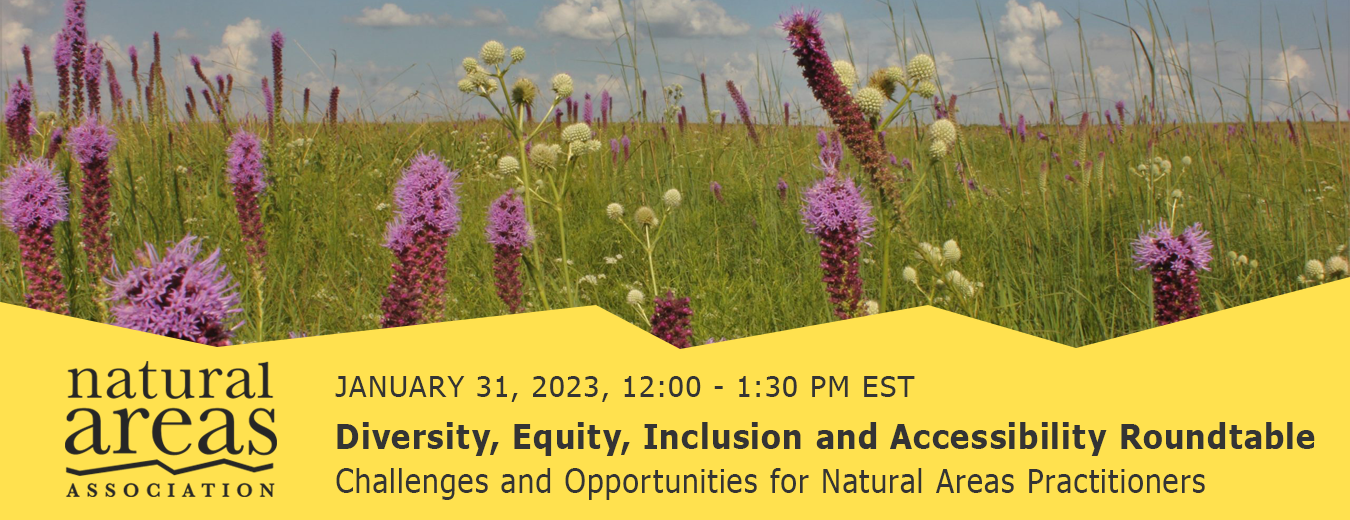 January 31, 2023. Diversity, Equity, Inclusion and Accessibility Roundtable.