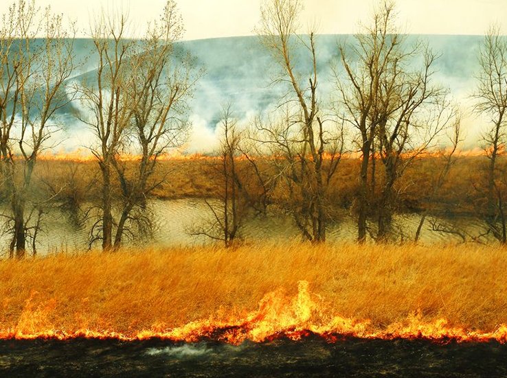Prairie fire