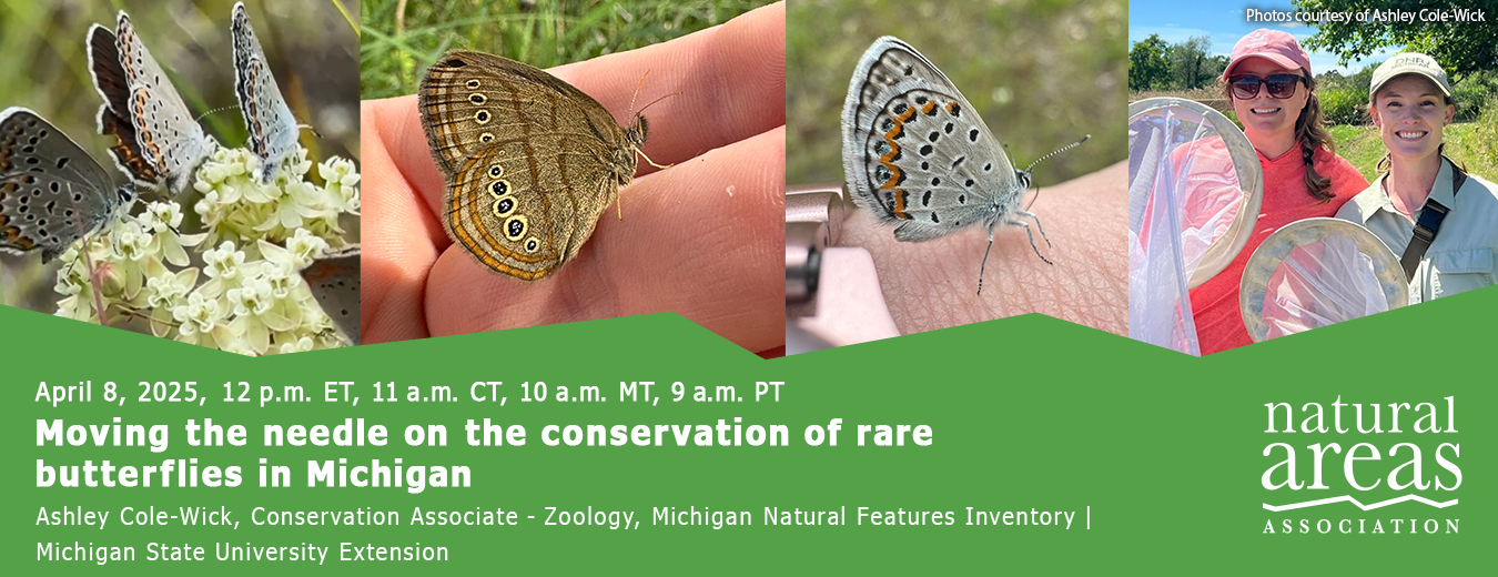 Moving the needle on the conservation of rare butterflies in Michigan