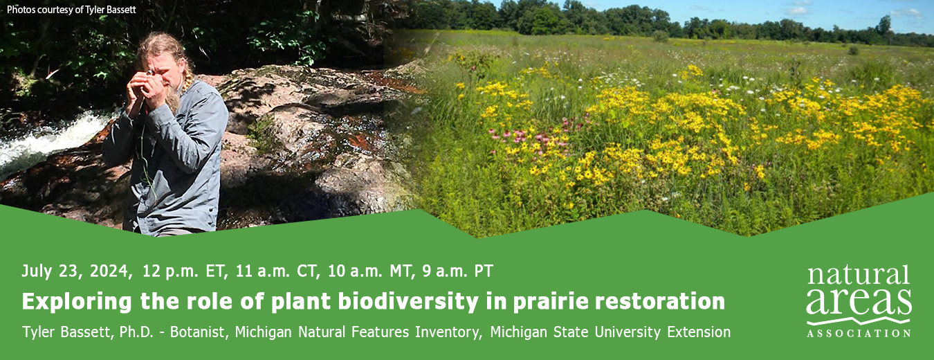 Exploring the role of plant biodiversity in prairie restoration