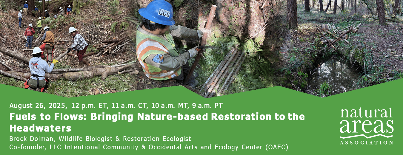 Fuels to Flows: Bringing Nature-based Restoration to the Headwaters