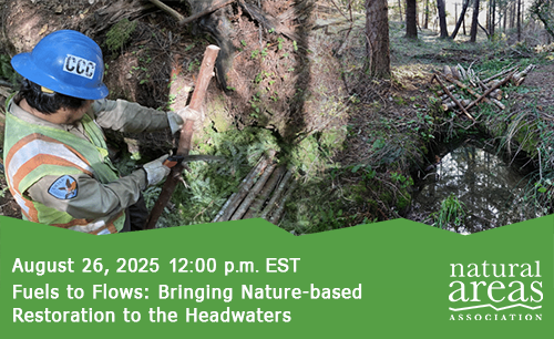 Fuels to Flows: Bringing Nature-based Restoration to the Headwaters