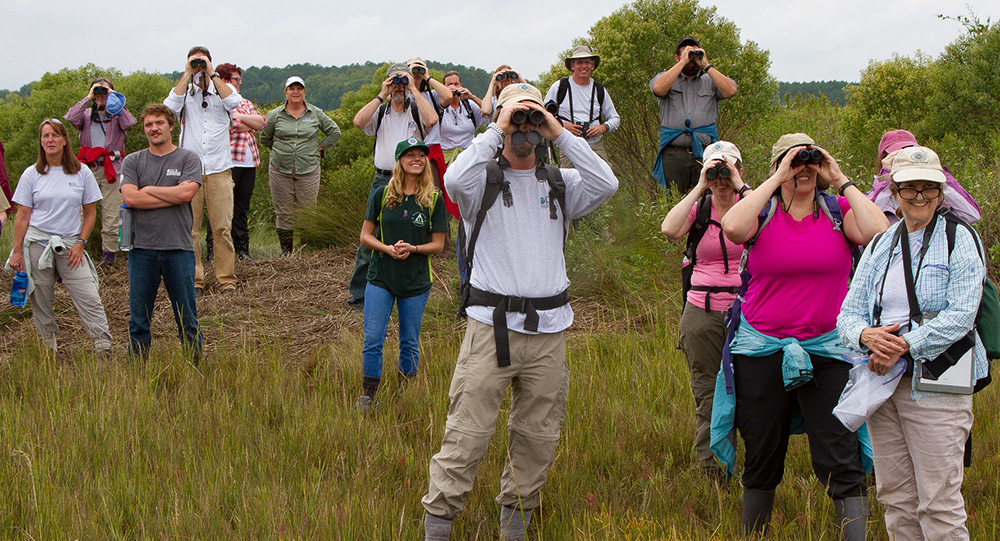 Group of people in a field with binoculars