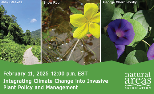 Integrating Climate Change into Invasive Plant Policy and Management