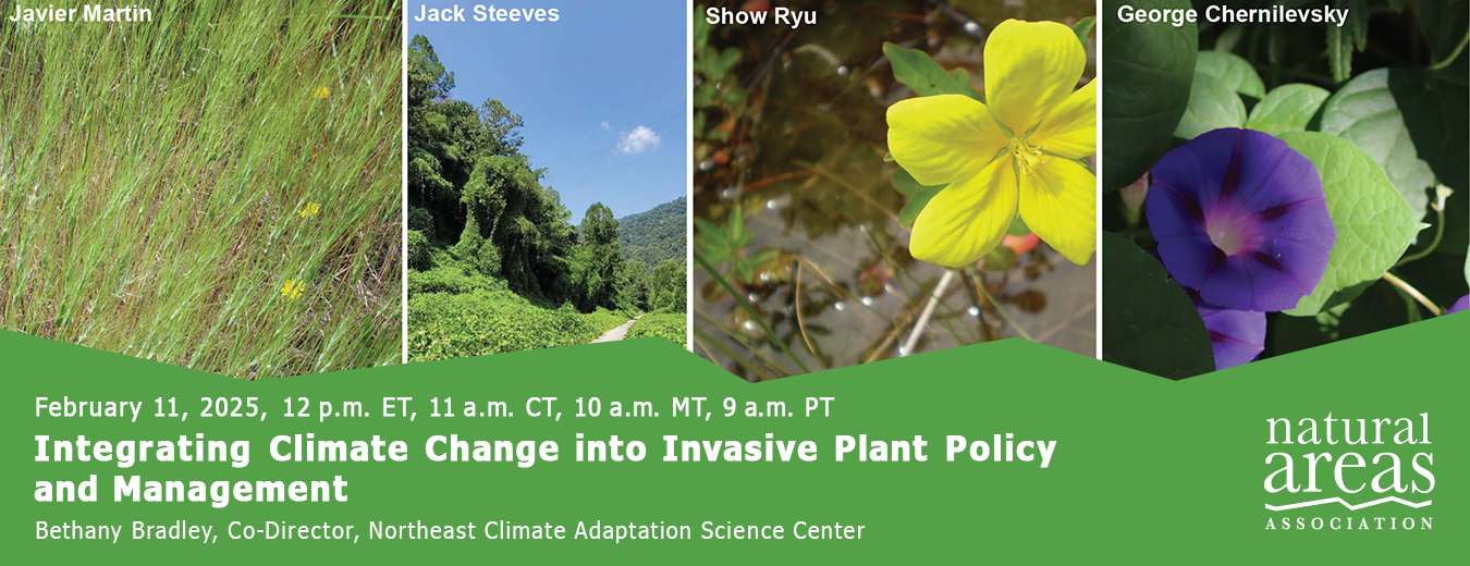 Integrating Climate Change into Invasive Plant Policy and Management