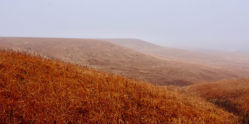 Konza field in orange and brown with foggy gray skies