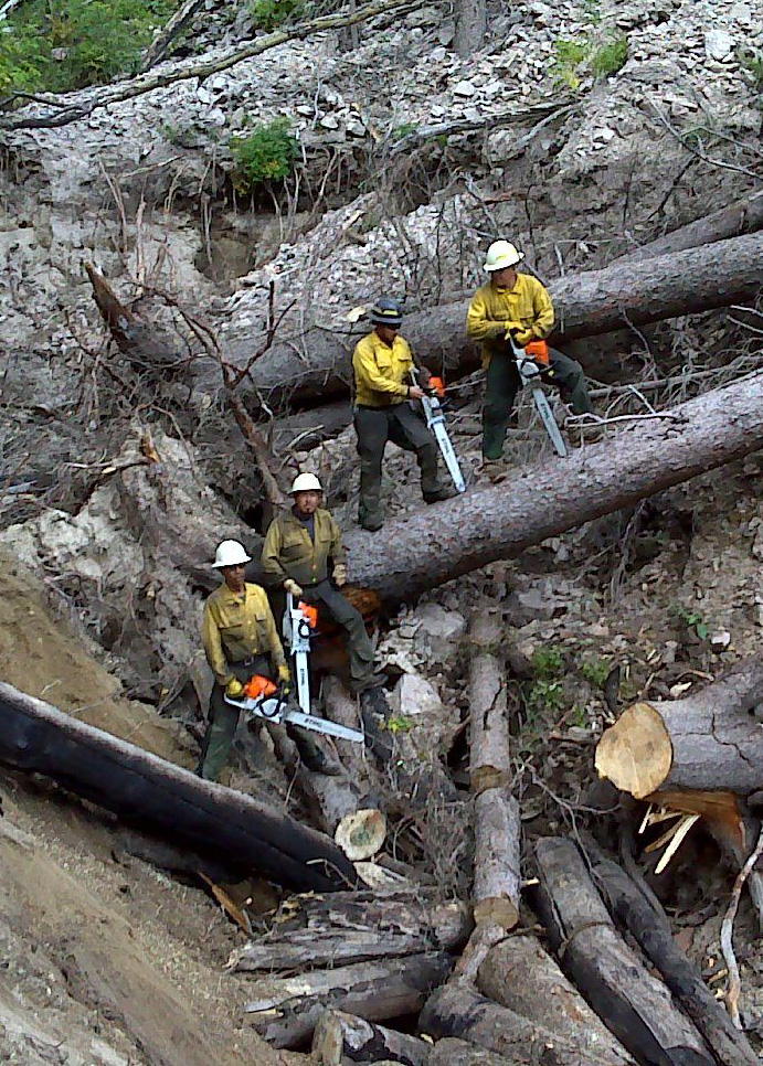 Group of people in ravine with chainsaws and fallen trees