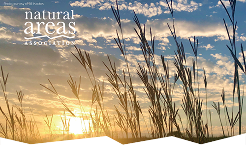 Natural Areas Journal