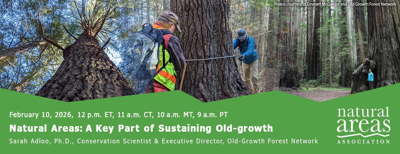 Natural Areas: A key part of sustaining old-growth forests