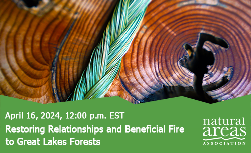Restoring Relationships and Beneficial Fire to Great Lakes Forests