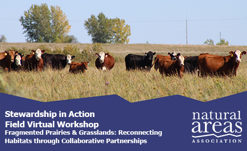Stewardship in Action Field Virtual Workshop: Fragmented Prairies & Grasslands:Reconnecting Habitats through Collaborative Partnerships