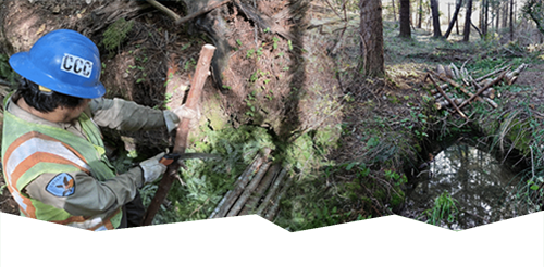 Fuels to Flows: Bringing Nature-based Restoration to the Headwaters