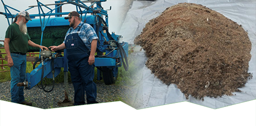 Answering the Call for Native Seed: Scaling Up Small Scale Efforts to Meet the Need